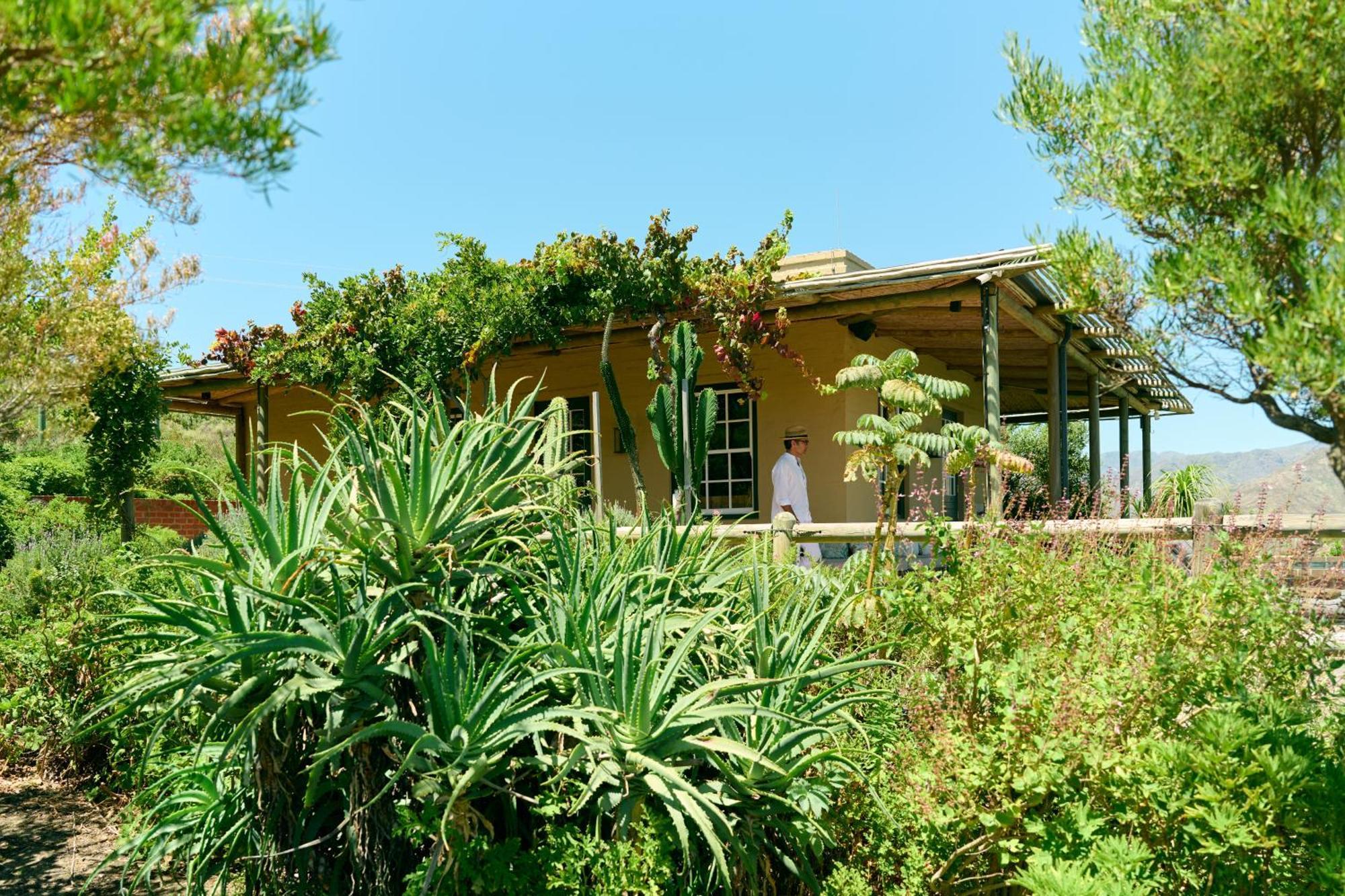 7 Koppies Bed and Breakfast Franschhoek Buitenkant foto