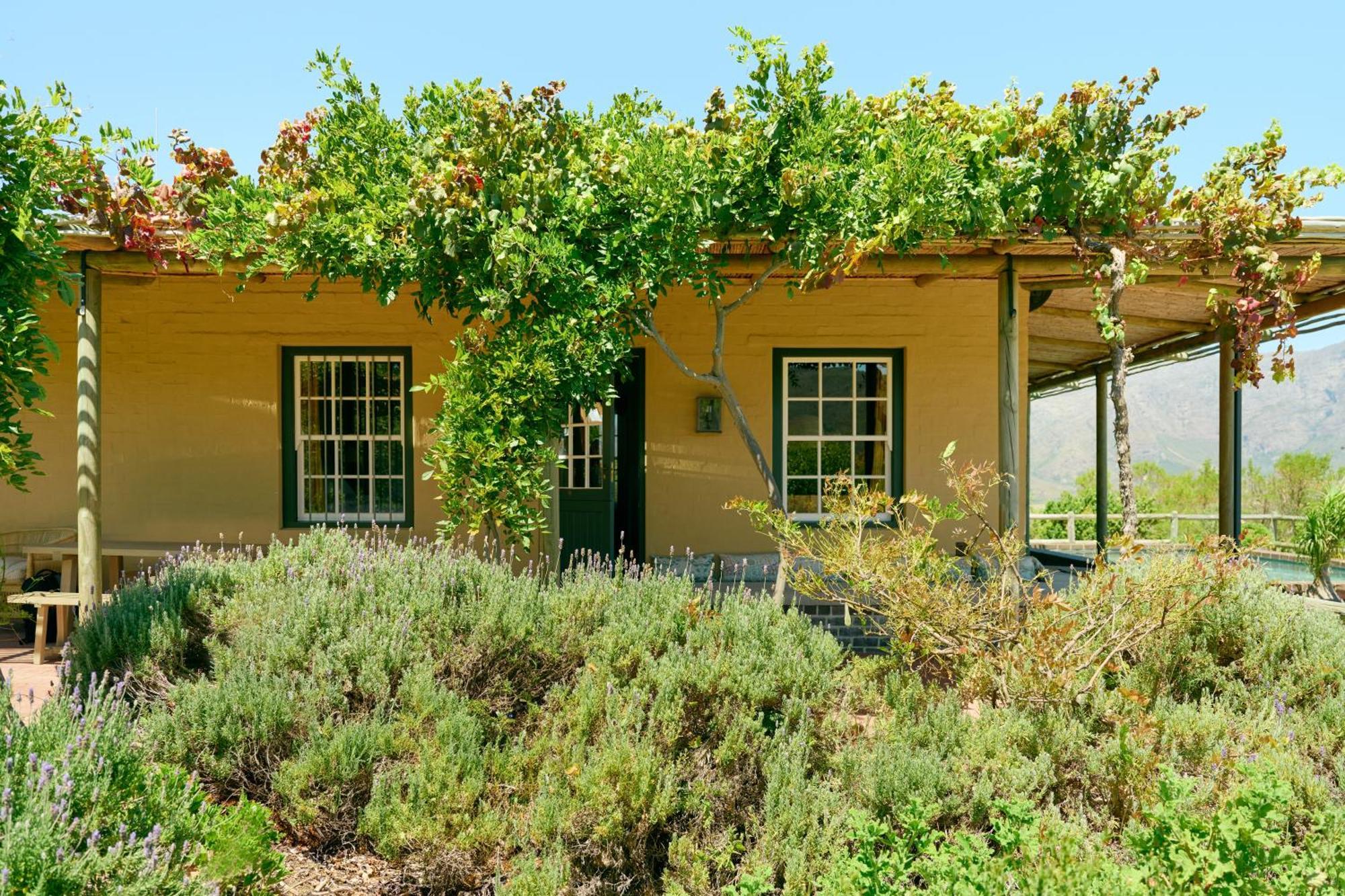 7 Koppies Bed and Breakfast Franschhoek Buitenkant foto